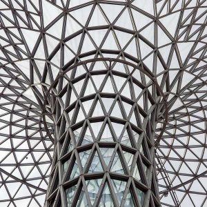 Steel Grid Structure